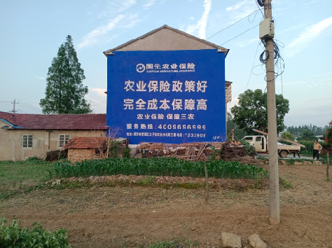 商南墙体广告的优劣势你知道吗？